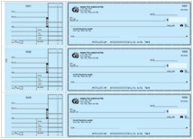 Blue Safety General Purpose Business Checks